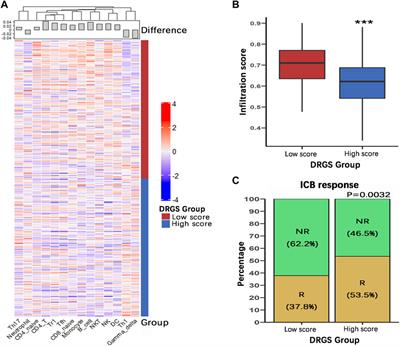 A Novel DNA Repair Gene Signature for Immune Checkpoint Inhibitor-Based Therapy in Gastric Cancer